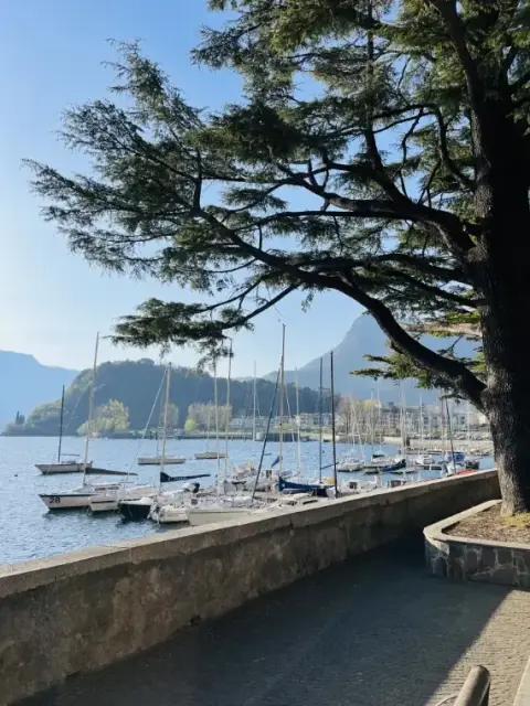 Italie como